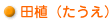 田植(たうえ)